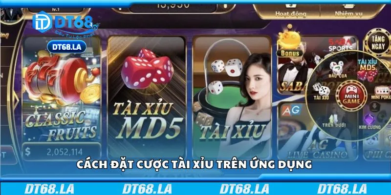 Cách đặt cược tài xỉu trên ứng dụng